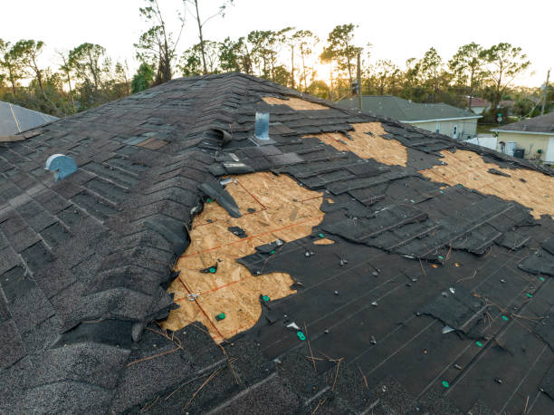 Best Roof Moss and Algae Removal  in Trafalgar, IN