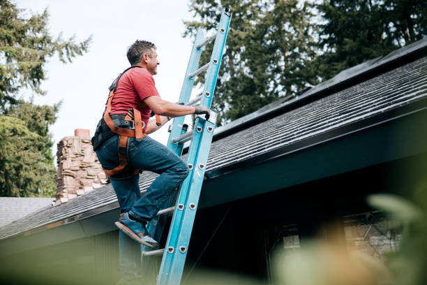 Best Asphalt Shingles Roofing  in Trafalgar, IN
